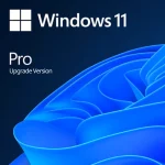Windows 11 Pro «Upgrade Version»