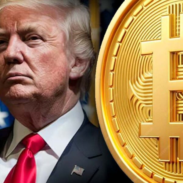 Crecimiento de Bitcoin tras la victoria de Donald Trump en las elecciones de 2024