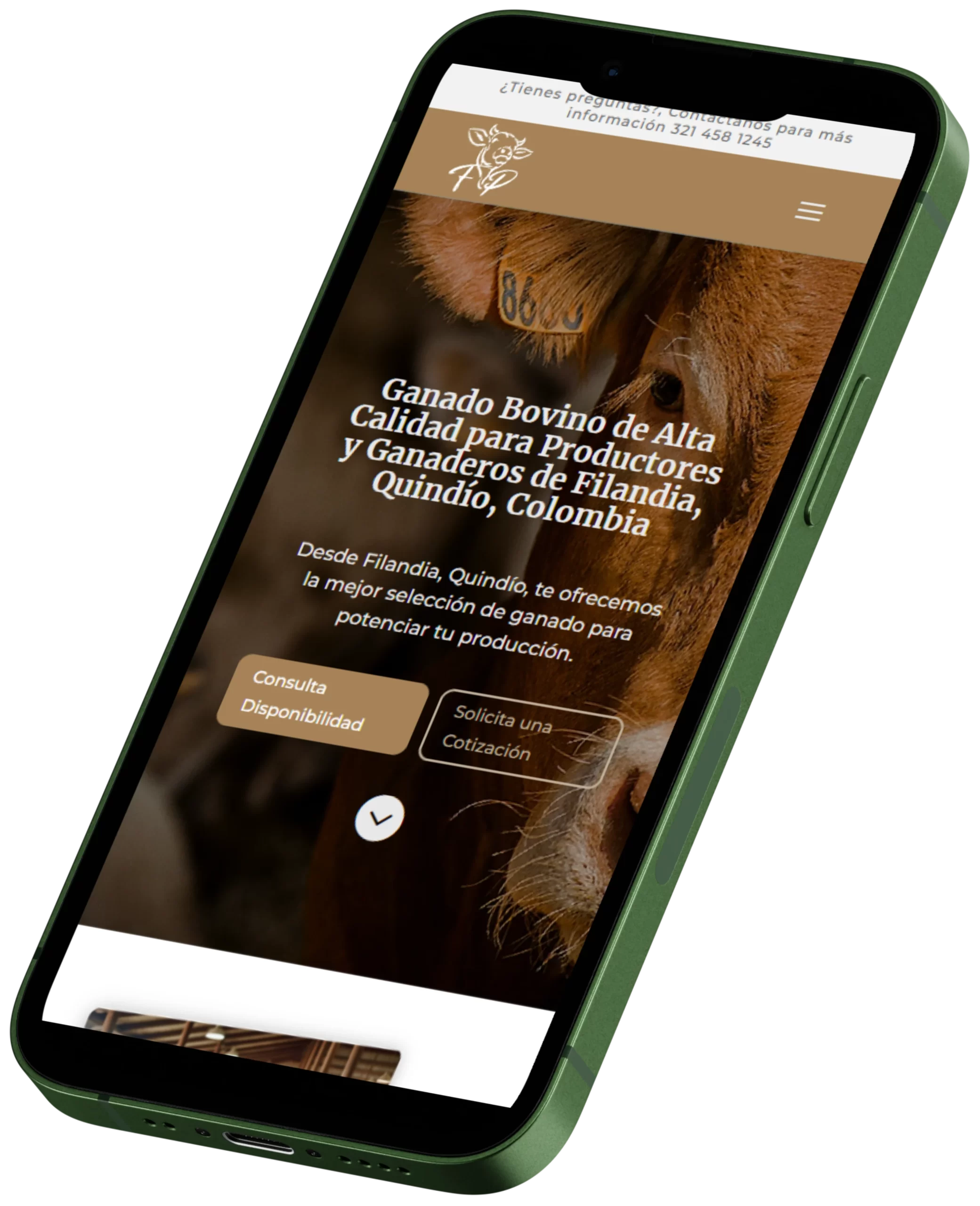 Diseño y Desarrollo Web